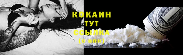 ГАЛЛЮЦИНОГЕННЫЕ ГРИБЫ Надым