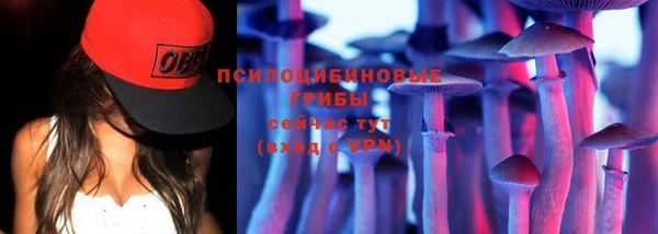 крисы Наволоки