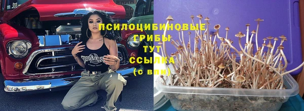крисы Наволоки