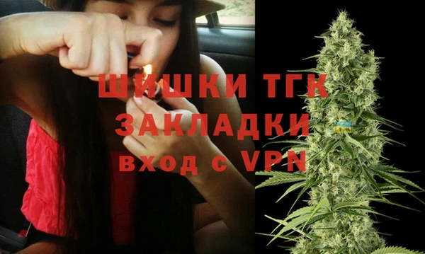 ГАЛЛЮЦИНОГЕННЫЕ ГРИБЫ Надым