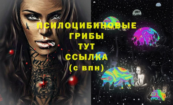 крисы Наволоки