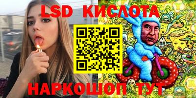 тгк Новодвинск