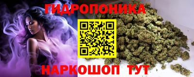 стафф Новокубанск