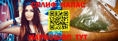 тгк Новодвинск