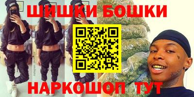 тгк Новодвинск