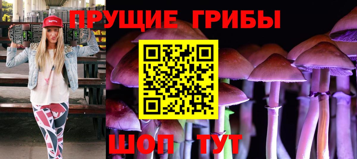 Псилоцибиновые грибы Psilocybine cubensis  Вход с VPN  Новокузнецк 
