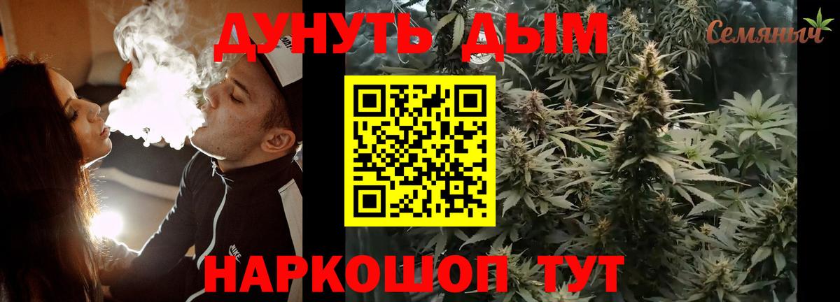 Конопля гибрид Новокузнецк